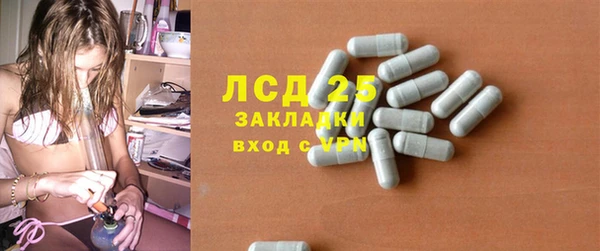 дживик Богданович