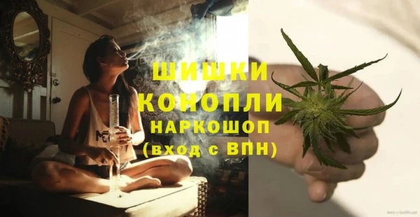 дживик Богданович