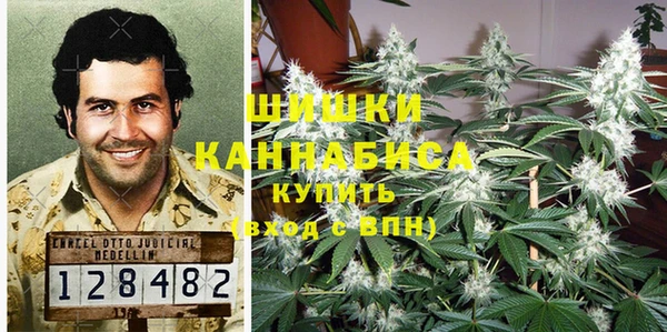 дживик Богданович