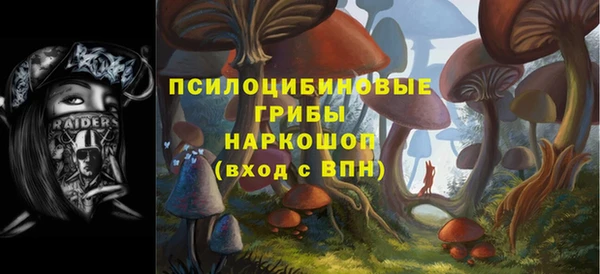 метамфетамин Богородицк