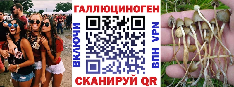 Галлюциногенные грибы Psilocybe  наркошоп  Чухлома 